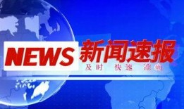 新闻爆料饭店视频素材图片,一场关于美食与服务的视觉盛宴