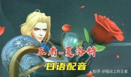 草莓夏洛特爆料视频,揭秘幕后故事与精彩瞬间